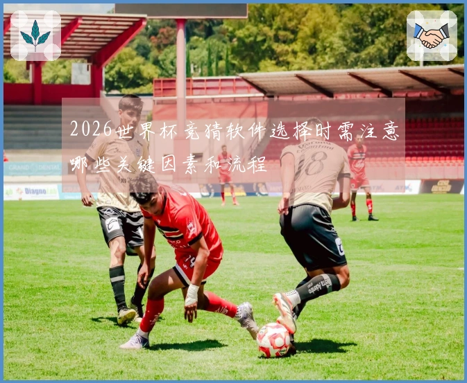 2026世界杯竞猜软件选择时需注意哪些关键因素和流程