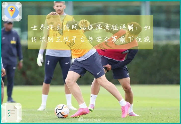 世界杯竞猜网站选择流程详解，如何识别正规平台与安全赛前下注技巧