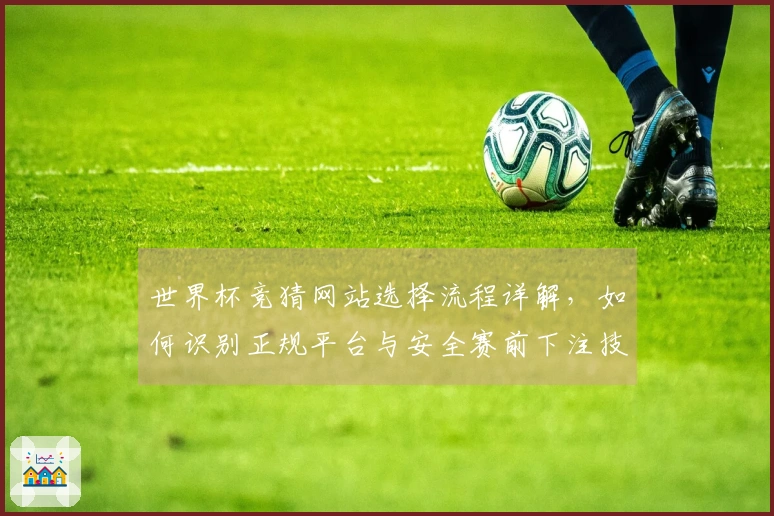 世界杯竞猜网站选择流程详解，如何识别正规平台与安全赛前下注技巧
