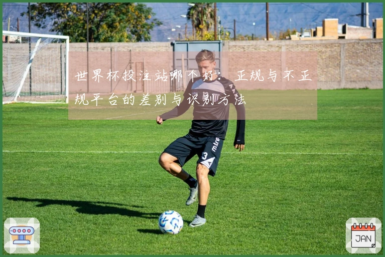 世界杯投注站哪个好：正规与不正规平台的差别与识别方法