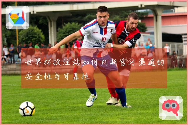 世界杯投注站如何判断官方渠道的安全性与可靠性