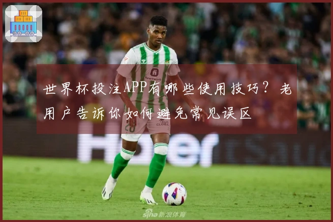 世界杯投注APP有哪些使用技巧？老用户告诉你如何避免常见误区